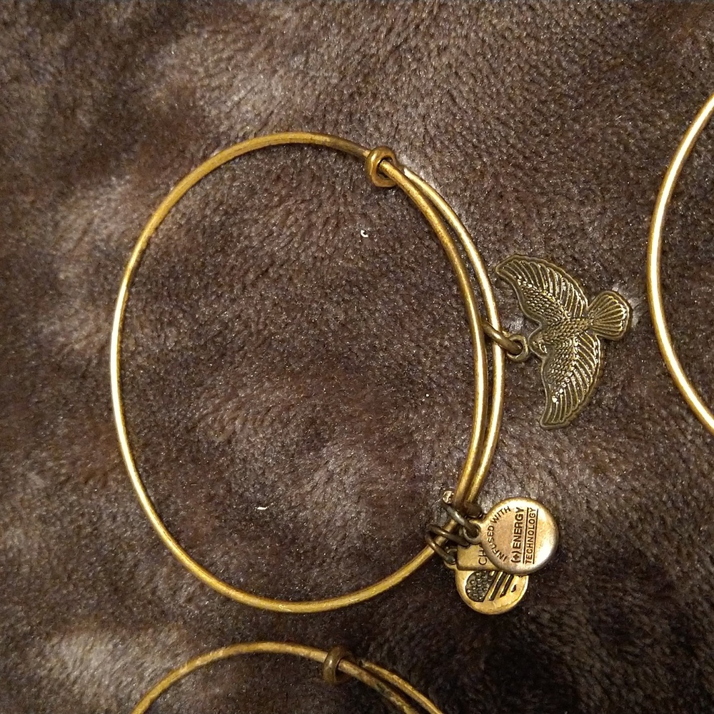 Bundle: 8 Alex & Ani Bangle Bracelet Set - image 4